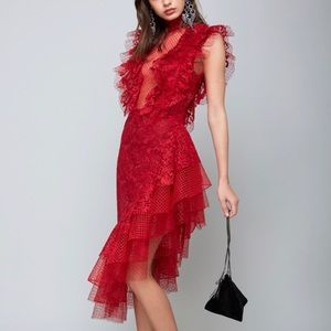 Bebe Limited Dress  Layered lace&Tulle dress